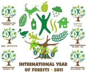 Rompicapo di 2011 Anno Internazionale delle Foreste