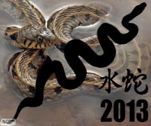 Rompicapo di 2013, l'anno del Serpente d'Acqua. Secondo il calendario cinese, dal 10 febbraio 2013 al 30 gennaio 2014