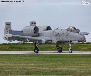 Rompicapo di A-10A Thunderbolt II