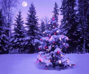Rompicapo di Abeti di Natale in un paesaggio innevato con la luna nel cielo