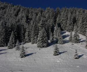 Rompicapo di Abeti di Natale in un paesaggio innevato