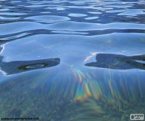 Rompicapo di Acqua da un lago