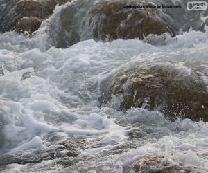 Rompicapo di Acqua di mare