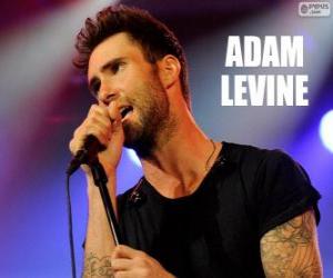 Rompicapo di Adam Levine frontman e chitarrista del gruppo musicale Maroon 5