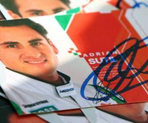 Rompicapo di Adrian Sutil - Force India - Gran Premio d'Ungheria 2010