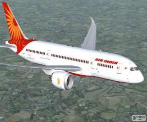 Rompicapo di Air India è la principale compagnia aerea dell'India
