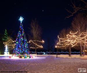 Rompicapo di Alberi illuminati, Natale