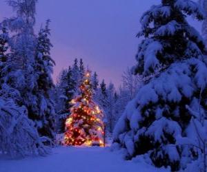 Rompicapo di Albero di Natale nella foresta