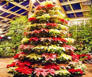 Rompicapo di Albero di Natale poinsettie