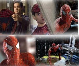 Rompicapo di Alcune immagini di Spiderman