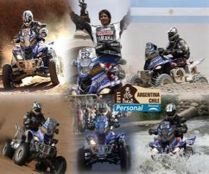 Rompicapo di Alejandro Patronelli Dakar 2011