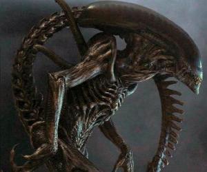 Rompicapo di Alien