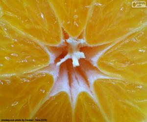 Rompicapo di All'interno di un mandarino