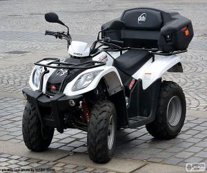 Rompicapo di All-terrain vehicle