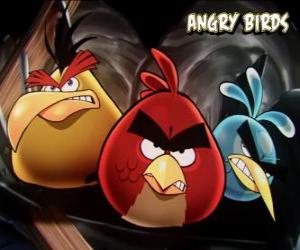 Rompicapo di Altri tre uccelli dal videogioco degli Uccelli Arrabbiati, Angry Birds
