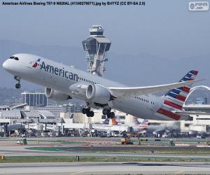 Rompicapo di American Airlines