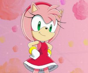 Rompicapo di Amy Rose, la femmina di riccio che pretende di essere la fidanzata di Sonic