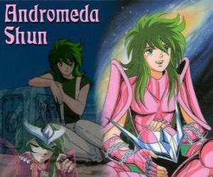 Rompicapo di Andromeda Shun, il Santo di bronzo di costellazione di Andromeda