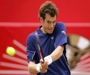 Rompicapo di Andy Murray pronto per un colpo