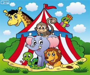 Rompicapo di Animali da circo