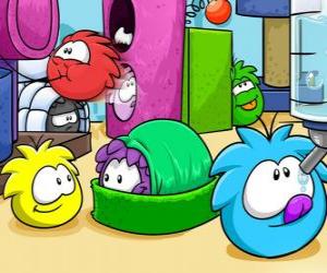 Rompicapo di Animali domestici Puffles nel Club Penguin