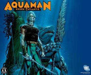 Rompicapo di Aquaman è stato uno dei membri fondatori del team di Justice League of America o JLA