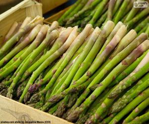 Rompicapo di Asparagi verdi