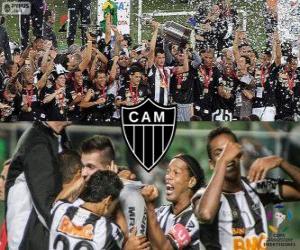Rompicapo di Atlético Mineiro, Campione Copa Libertadores 2013
