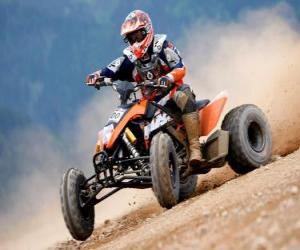 Rompicapo di ATV, Quad, All-terrain vehicle o con pilota