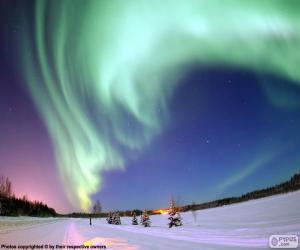 Rompicapo di Aurora polare