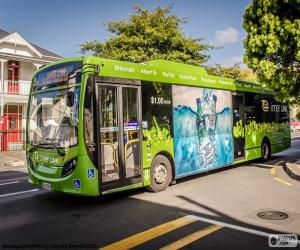 Rompicapo di Autobus da Auckland, NZ