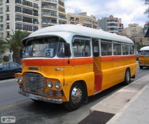 Rompicapo di Autobus di Malta