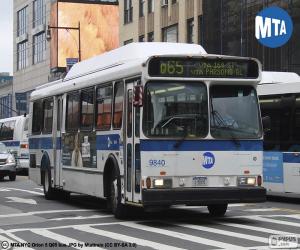 Rompicapo di Autobus urbano da New York City