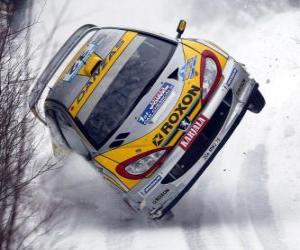 Rompicapo di Automobile Rally sulla neve