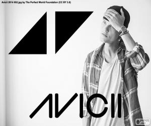 Rompicapo di Avicii (1989-2018)