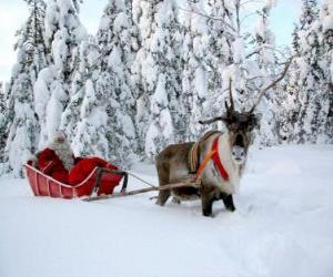 Rompicapo di Babbo Natale in slitta con le renne sulla neve