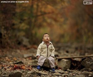 Rompicapo di Bambino nella foresta