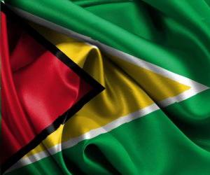 Rompicapo di Bandiera de Guyana