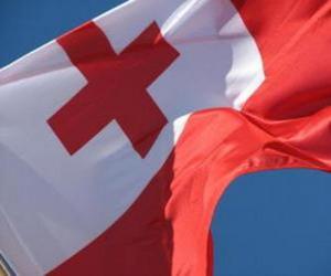 Rompicapo di Bandiera de Tonga