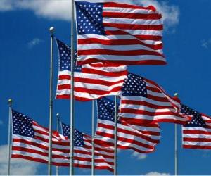 Rompicapo di Bandiera degli Stati Uniti d'America o USA