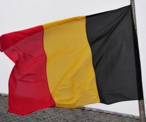 Rompicapo di Bandiera del Belgio