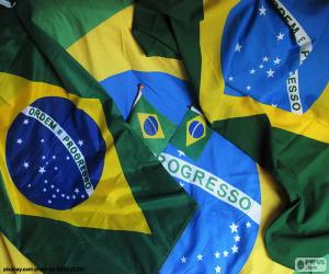 Rompicapo di Bandiera del Brasile