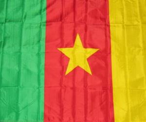 Rompicapo di Bandiera del Camerun