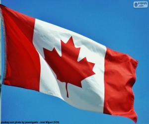 Rompicapo di Bandiera del Canada