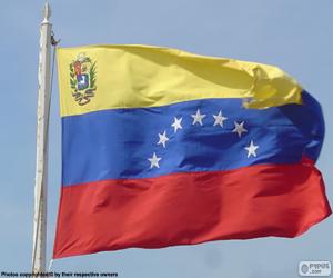 Rompicapo di Bandiera del Venezuela