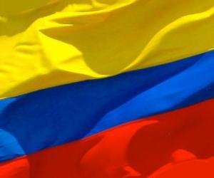 Rompicapo di Bandiera della Colombia