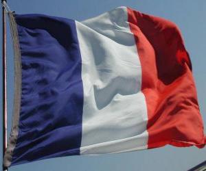 Rompicapo di Bandiera della Francia