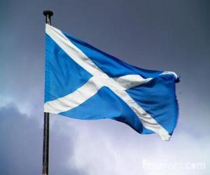 Rompicapo di Bandiera della Scozia, nazione del Regno Unito