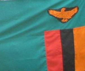 Rompicapo di Bandiera dello Zambia