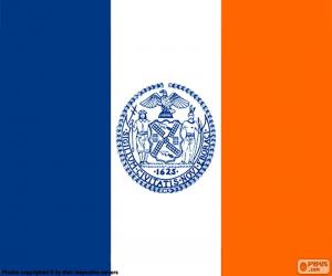 Rompicapo di Bandiera di New York